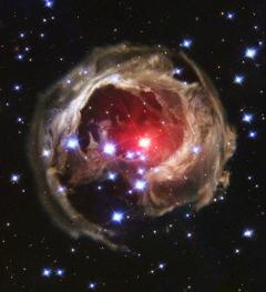 Bild von
V838 Monocerotis